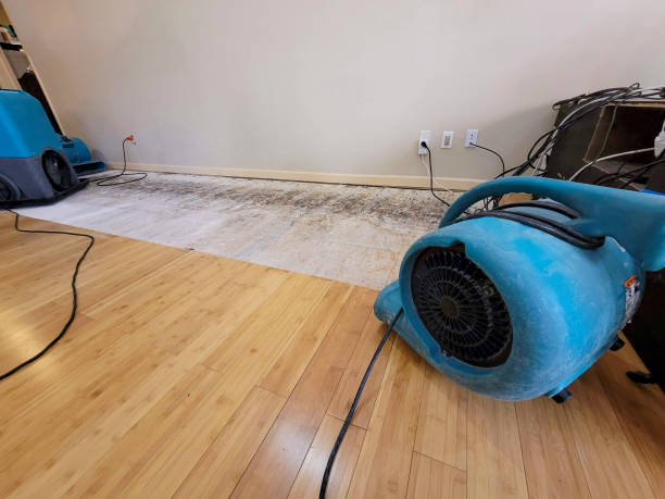 Professional Water Damage Repair technician working in Baker, CA